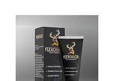 Flexogor - สั่ง ซื้อ - lazada - ราคา